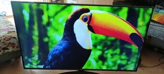 Televize LG Led Smart 4K 139 cm 55 palcu