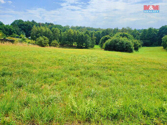 Prodej pozemku k bydlení, 4223 m², Dětmarovice