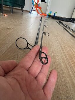 Pruty avid carp amplifi