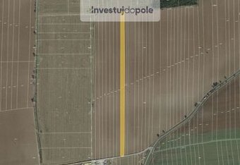 Prodej pole v k.ú. Křimice - 1