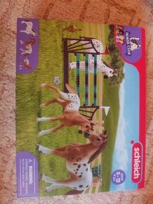 Schleich apaloosa