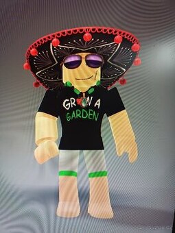 Roblox účet mpnitro555