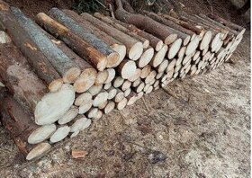 Palivové dřevo měkké