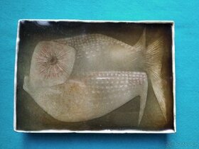 KERAMIKA - JANA HLAVÁČOVÁ