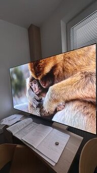 Televize 65" LG OLED65C31