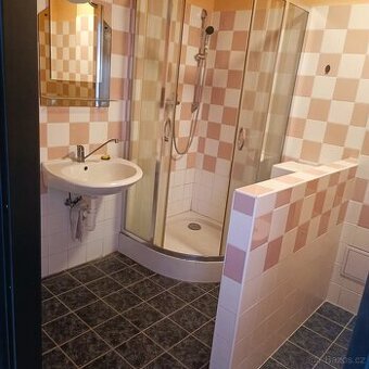 Pronajmu garsonku ve Dvoře Králové n.L