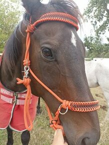 Bezudidlová ohlávka