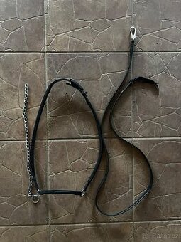 Předváděcí ohlávka