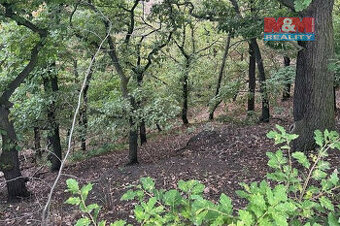 Prodej lesa, 7458m², Bílina - 1