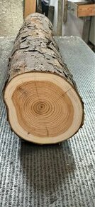 Tis Červený - prodej kulatiny/dýhy/polotovary