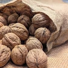 vlašské ořechy (neloupané)