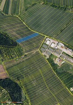 Pole Řečkovice - 1