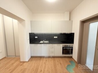 Pronájem, byt 1+1,  32 m2, Prašná ul., Suché Vrbné, sklep, v