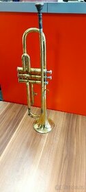 Trumpeta Lignatone - 1