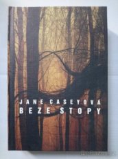Jane Caseyová – Beze stopy