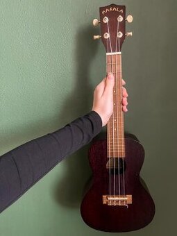 Ukulele