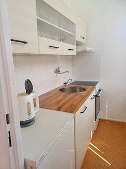 Pronájem garsonky bez provize - 1