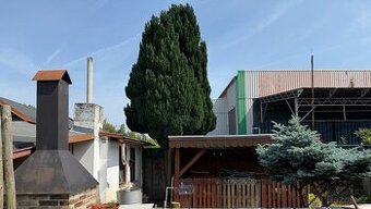 Zahradní domek s pergolou a zahradou