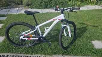 Dámské horské kolo ST100 - ROCKRIDER - S 155-164 cm