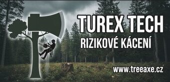 RIZIKOVÉ KÁCENÍ STROMŮ V MS KRAJI