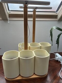 2x chytrý květináč Prêt à Pousser Lilo 3