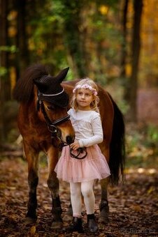 Predam S pony do sportu