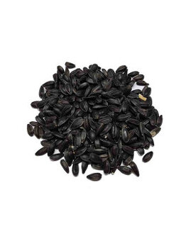 Slunečnice černá 17 Kč/kg