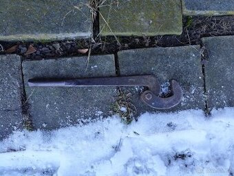 Hasák výstředníkový