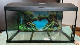 Akvarium, topitko, led zarivka do akvaria