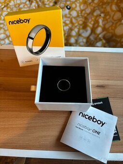 Platební prsten Niceboy one titanium