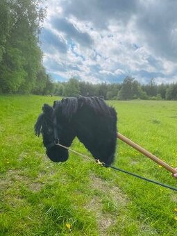 Hobby horse - 1