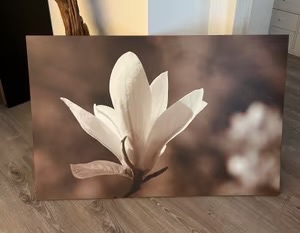 Ikea velky obraz magnolie kvet