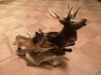 Štvanice royal dux, jelen