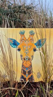 Energetický obraz žirafy