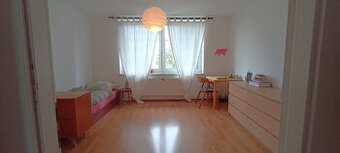 1.lůž. pok. v dívčím 3+1 RD prač/sušička, studentka/ml. pr. - 1