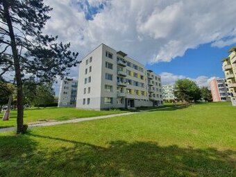 Pronajmu byt 2+1, 56m2, OV, 4.NP, Veselí nad Lužnicí - 1