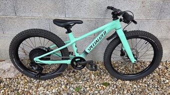 Specialized riprock 20