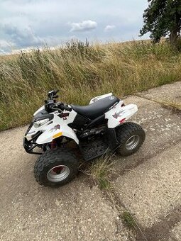 Polaris Predátor 50ccm - 1