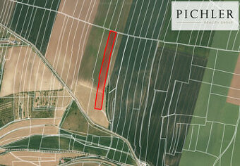 Prodej pole, 12 454 m2, Svrkyně