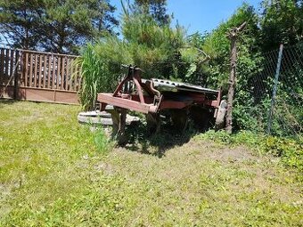 Pluh čtyřradličný - jednostranný