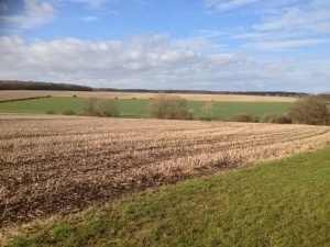 Orná půda, travní porost