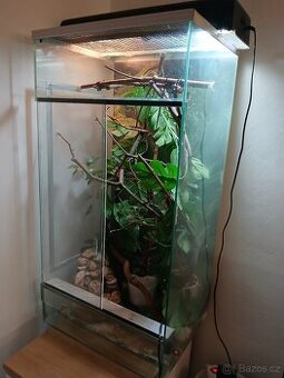 Terarium