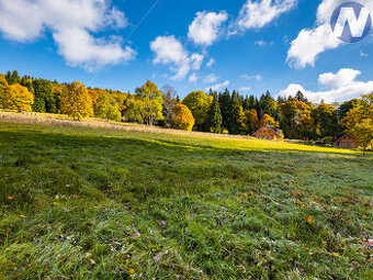 Prodej rozlehlých pozemků 39.564 m2 České Žleby