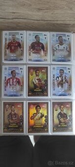 Fotbalové kartičky