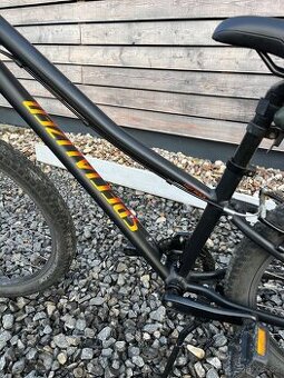 Hotrock 24” Specialized