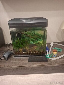 Akvárium s příslušenstvím