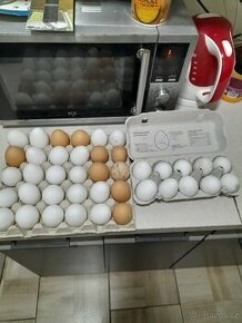 Domaci vejce