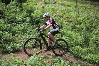 Elektrokolo horské Easybike Ego 1.0 pro postavu 175-185 cm