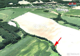 Prodej louky, 3253 m², Mladotice