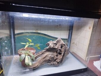 Akvarium